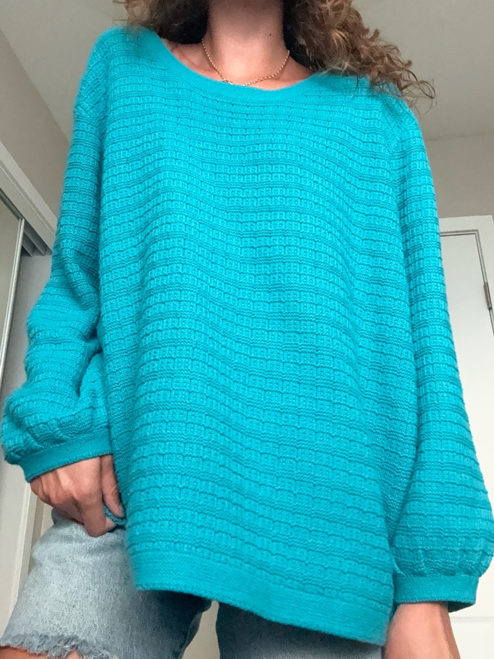 Woman Within Turquoise Crewneck Knit Sweater